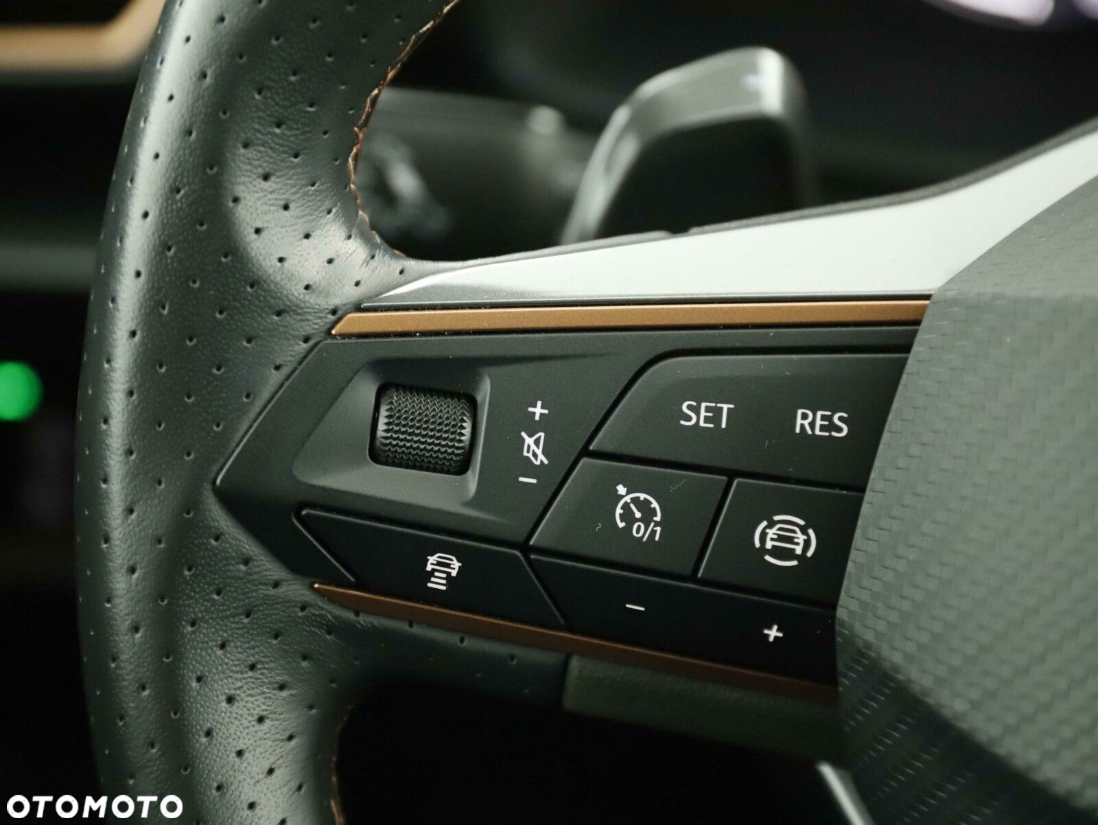 Cupra Formentor 1.5 TSI DSG - 11