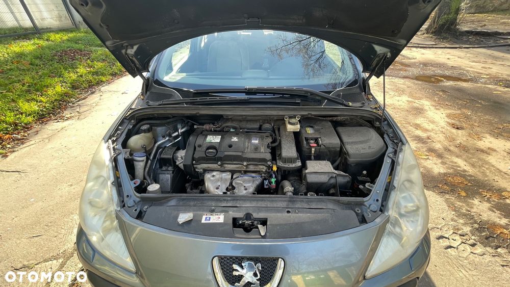 Peugeot 307 1.6 - 12