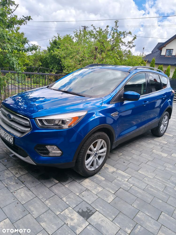 Ford Escape - 1