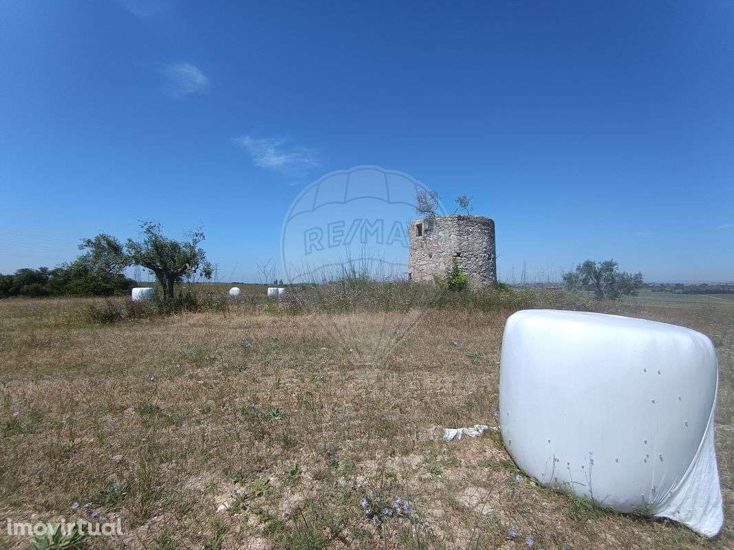 Terreno  para venda - Grande imagem: 2/28