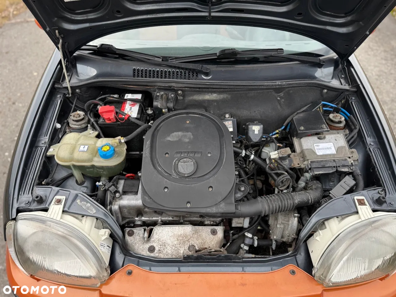 Fiat Seicento Brush - 17