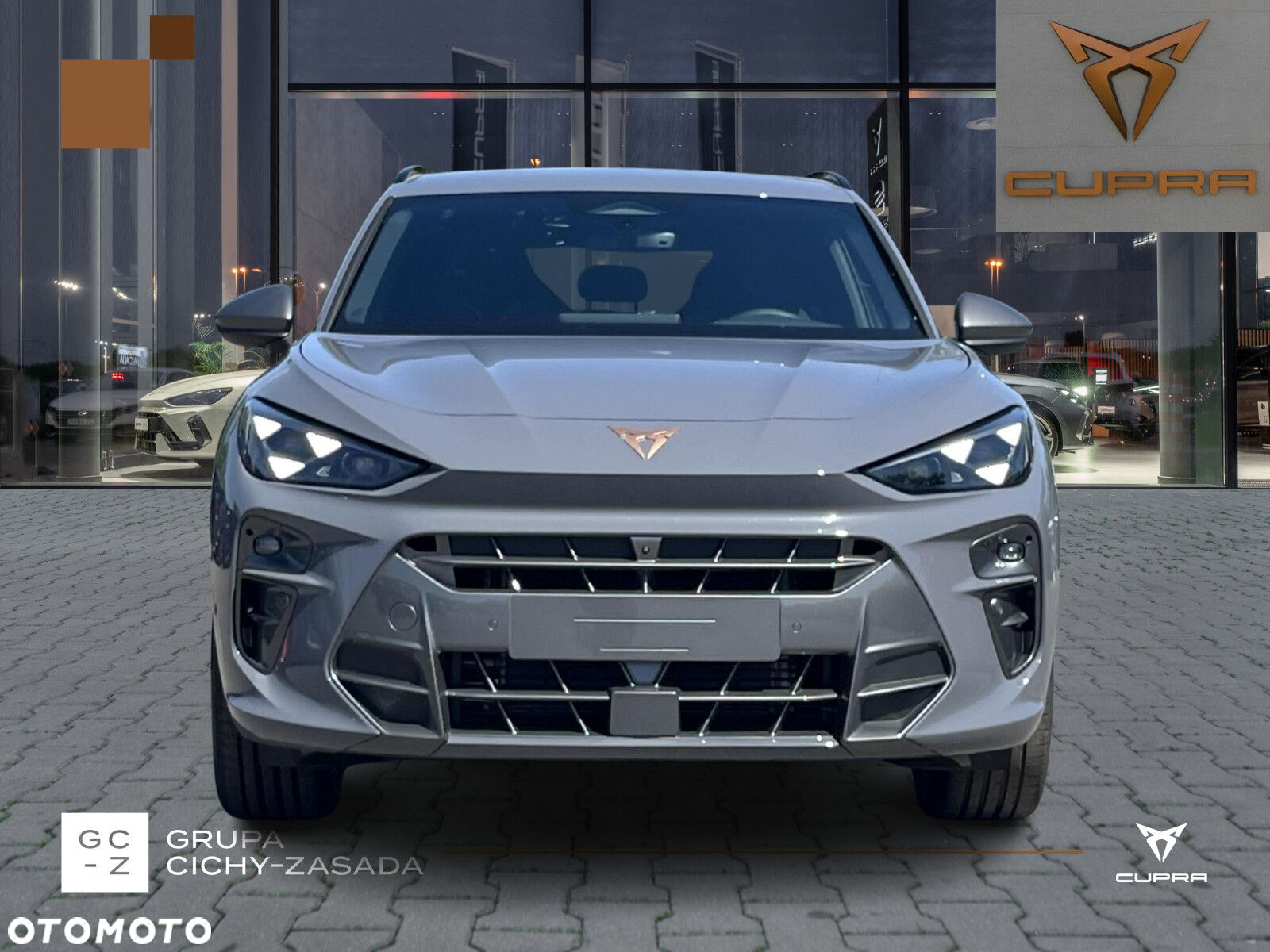 Cupra Terramar - 10