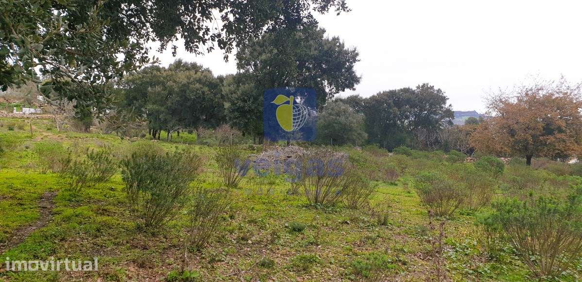Terreno Arruda dos Vinhos - Grande imagem: 3/19