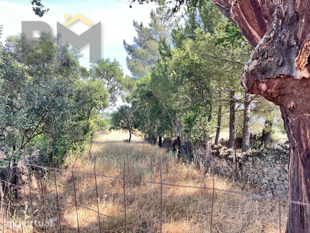 Quinta rural com 9.000m2 em Alcains - Castelo Branco - Grande imagem: 4/20