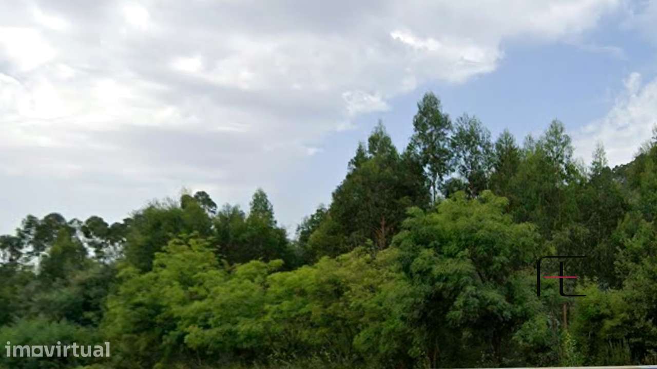 Terreno  Venda em Vila Chã, Codal e Vila Cova de Perrinho,Vale de Camb - Grande imagem: 3/3