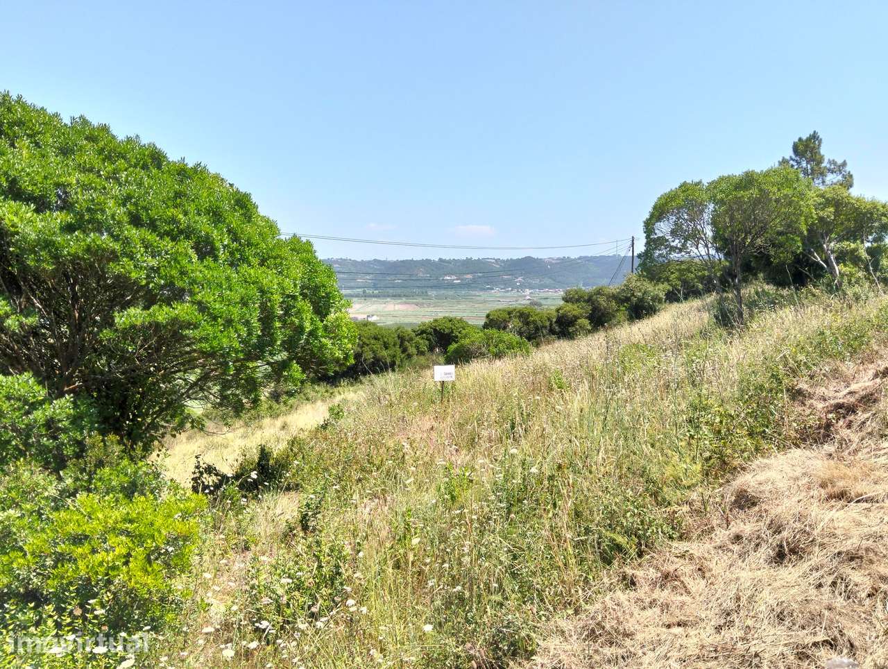 Terreno Estrada p/serra da pescaria /Praia do Salgado-Nazaré -Leiria - Grande imagem: 4/15