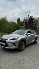 Lexus NX 300h E-FOUR Business Line