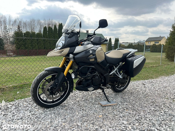 Suzuki DL