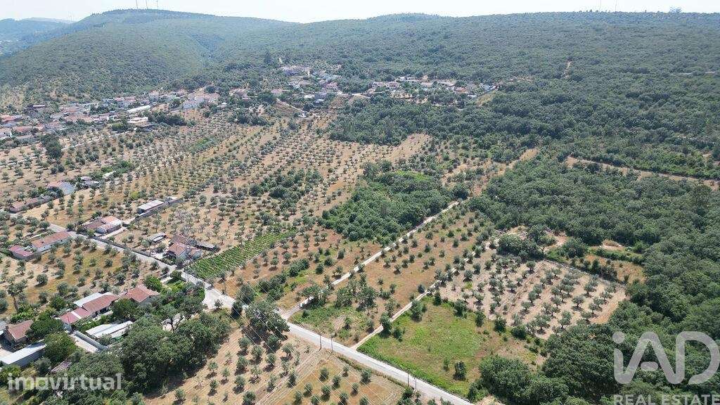 Terreno para construção em Chão de Couce - Grande imagem: 3/21