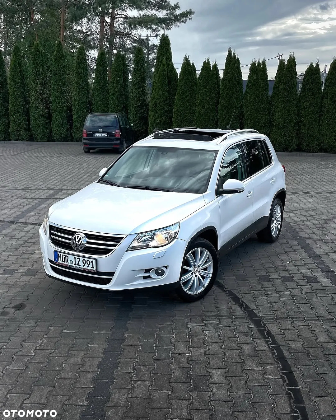 Volkswagen Tiguan 2.0 TDI DPF 4Motion Exclusive - 2