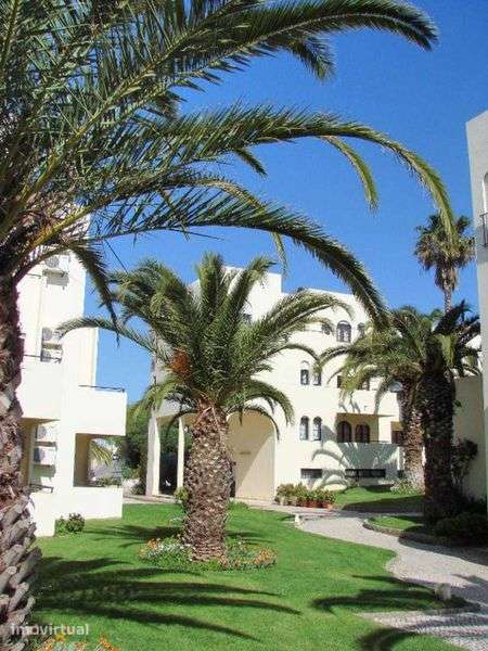 T1+1 para Arrendamento Anual – Alvor - Grande imagem: 5/12
