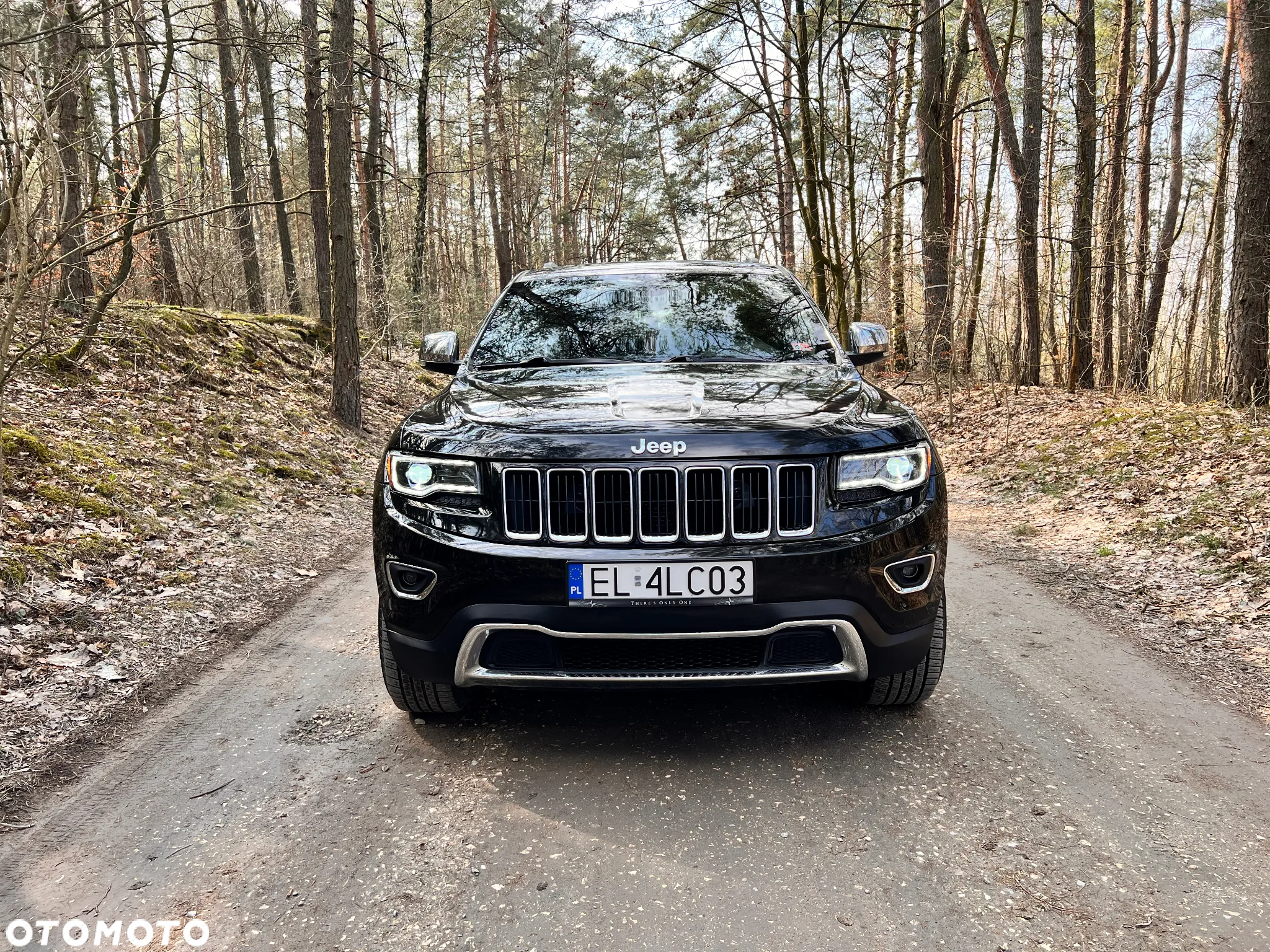Jeep Grand Cherokee 3.6 V6 Limited - 3