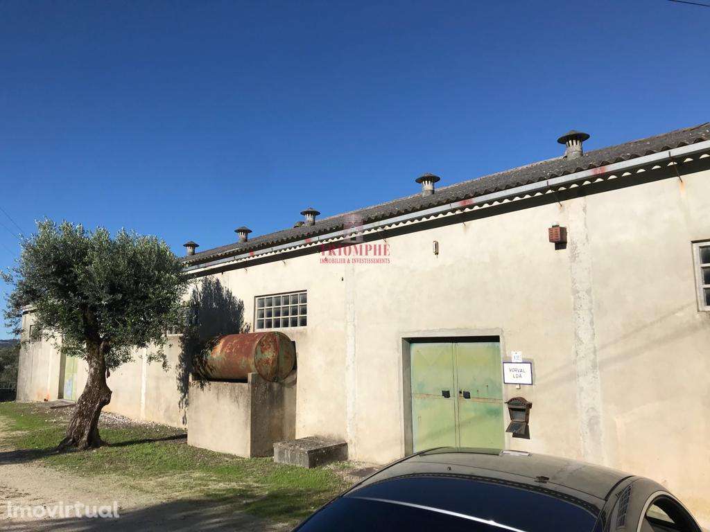 Armazém Industrial 2.100m2 de Terreno, Mendiga, Porto de Mós - Grande imagem: 2/12