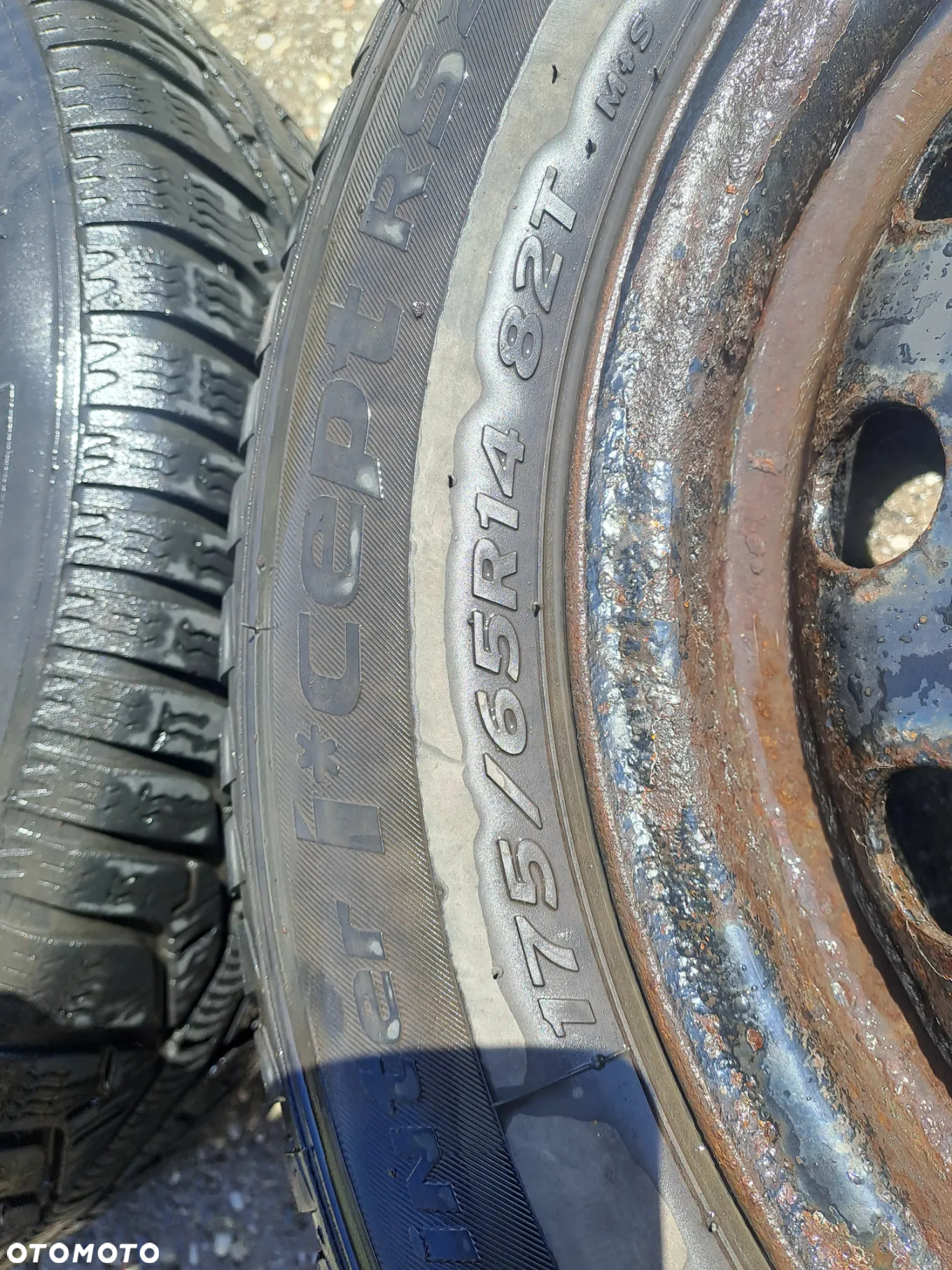 Peugeot 206 felgi stalowe z oponami zima 4x100 175/65 R14 - 9