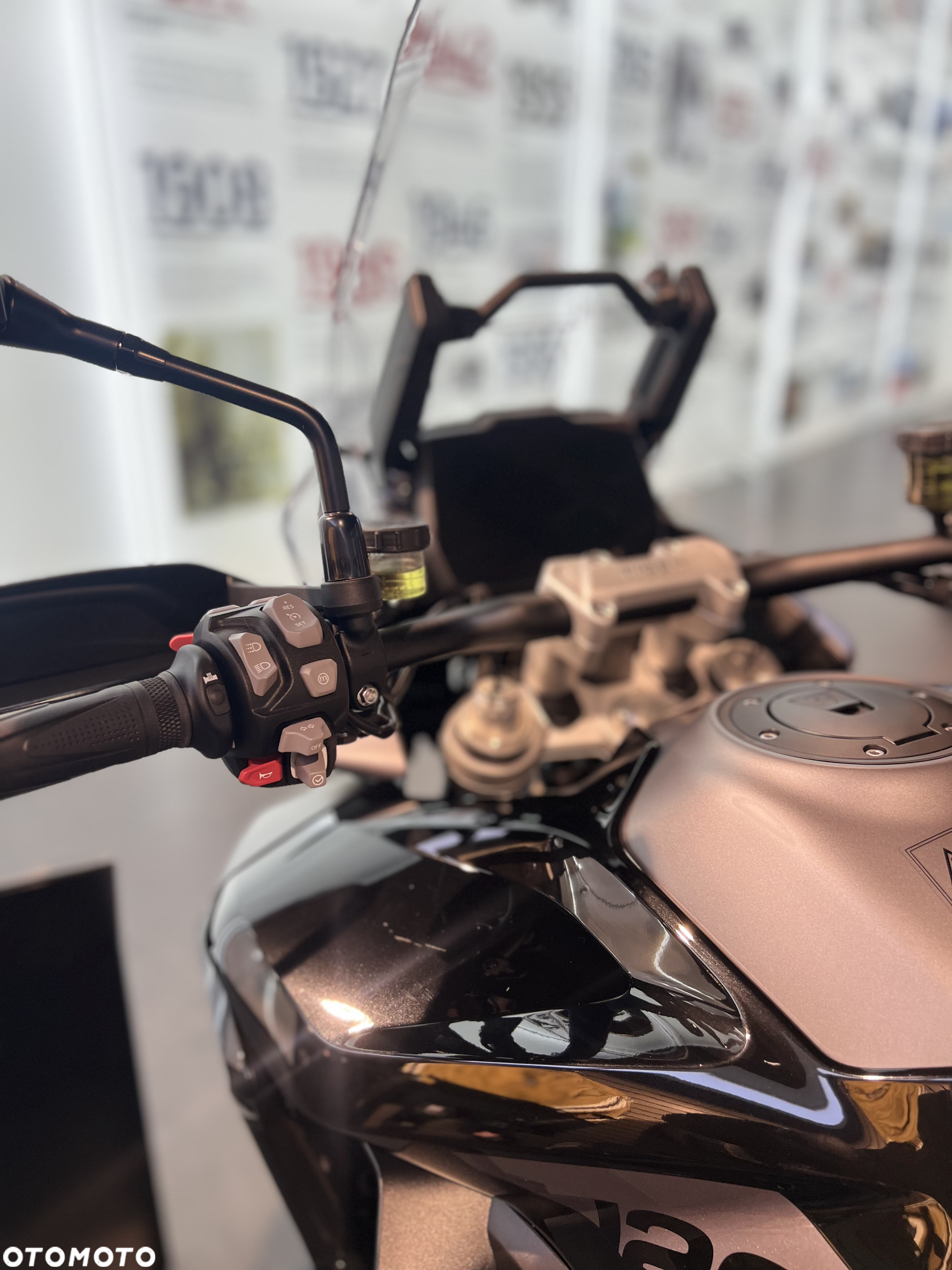 Triumph Tiger - 7