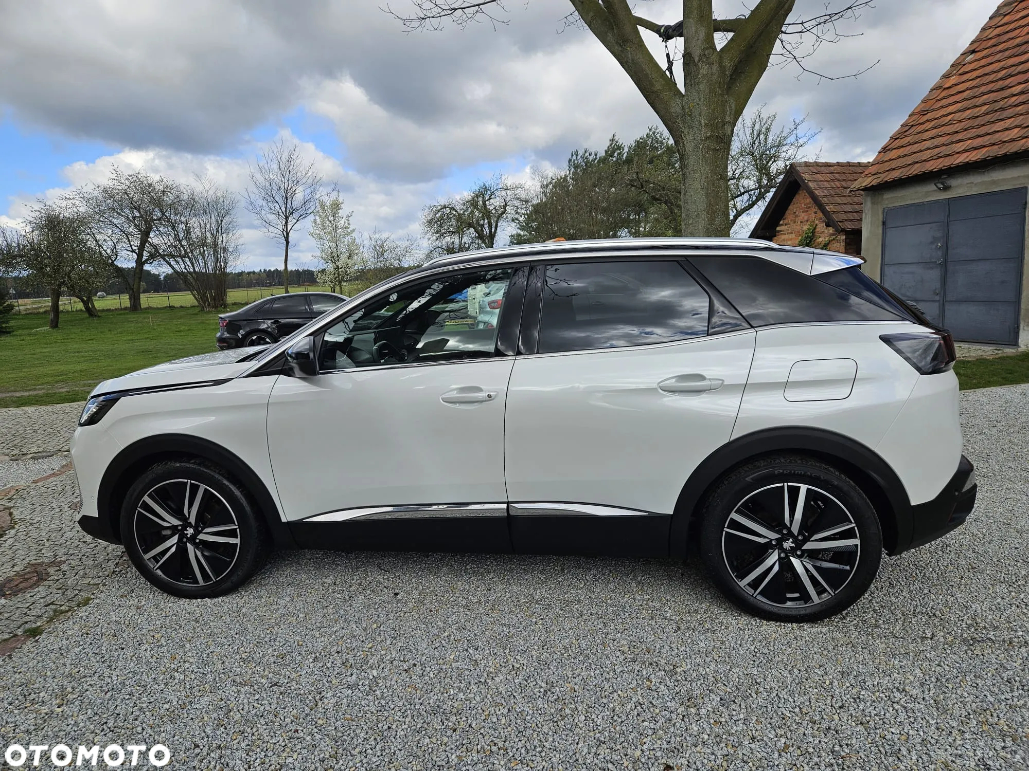 Peugeot 3008 - 19