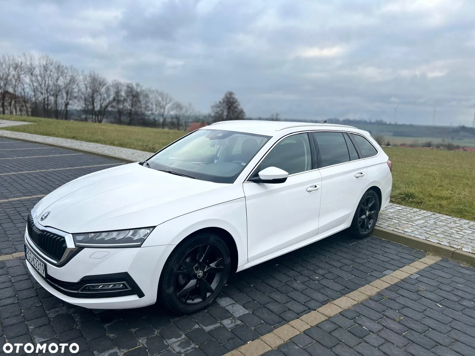 Skoda Octavia - 5