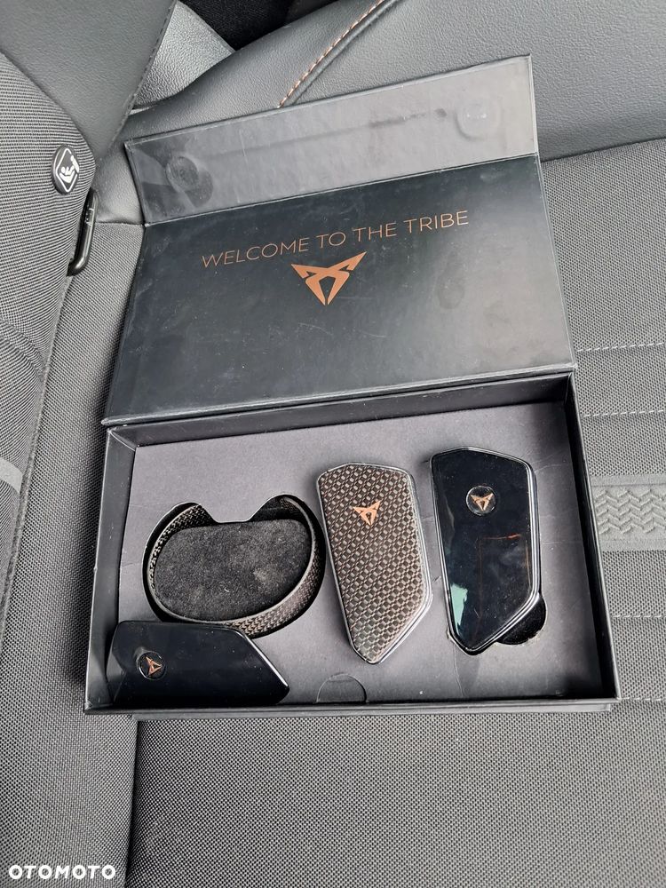 Cupra Formentor 2.0 TSI VZ DSG - 14