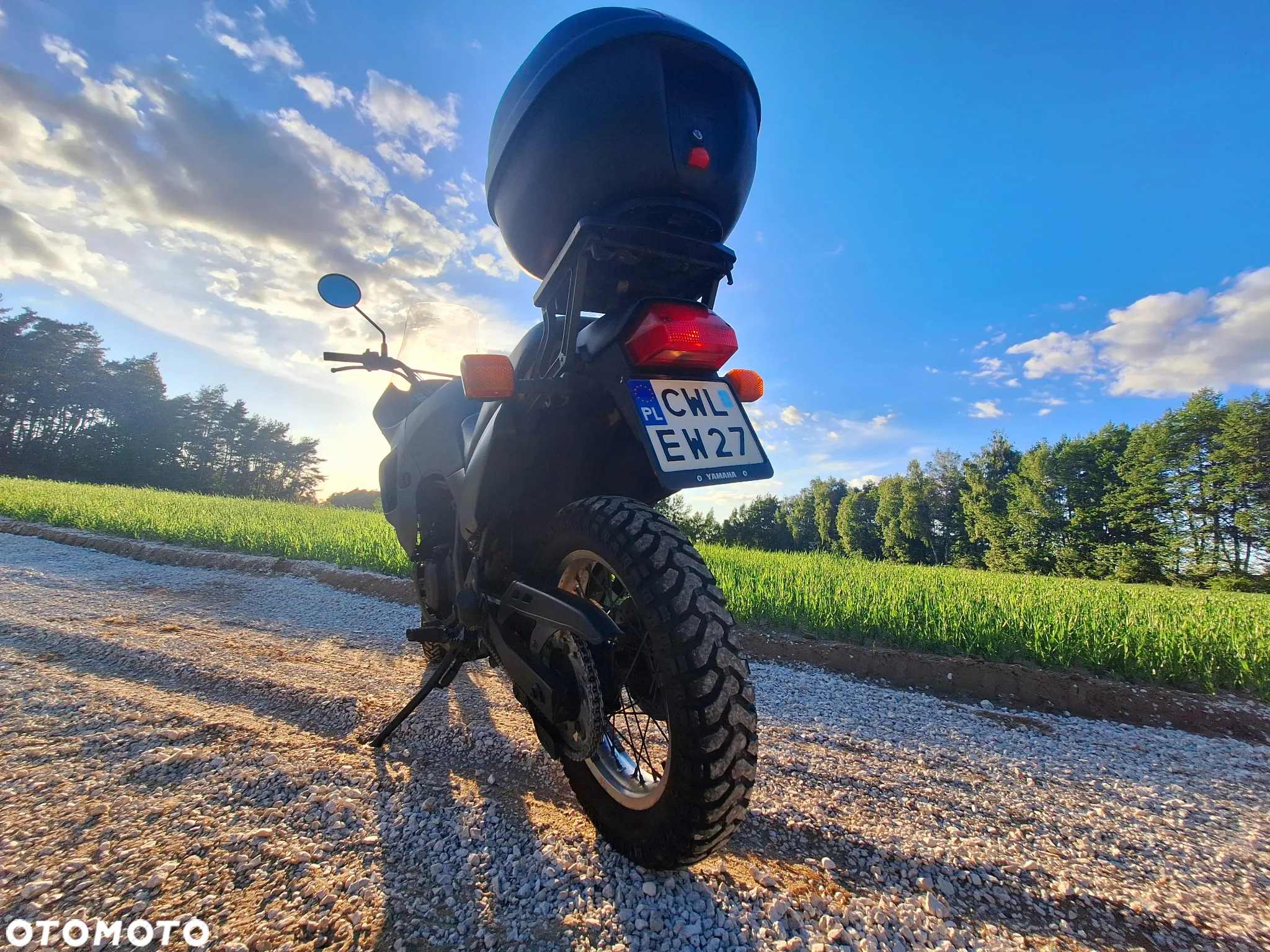 Honda Transalp - 5