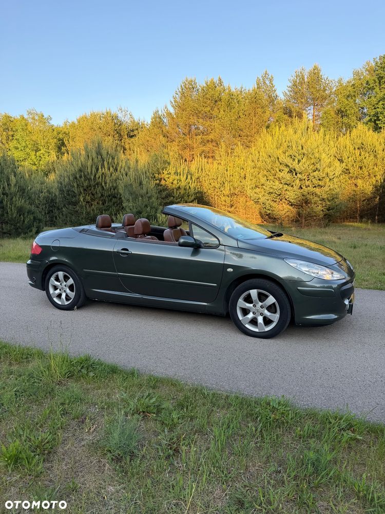 Peugeot 307 CC 2.0 Intense - 8