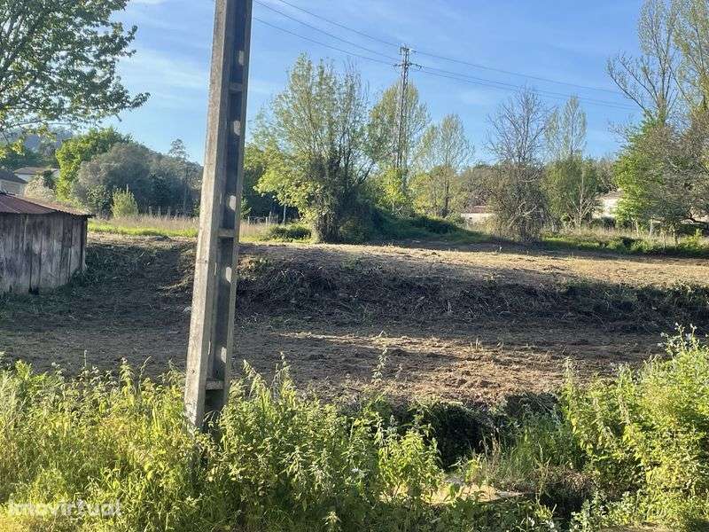 Terreno urbano com 1000m2 com duas casas em pedra - Grande imagem: 5/11