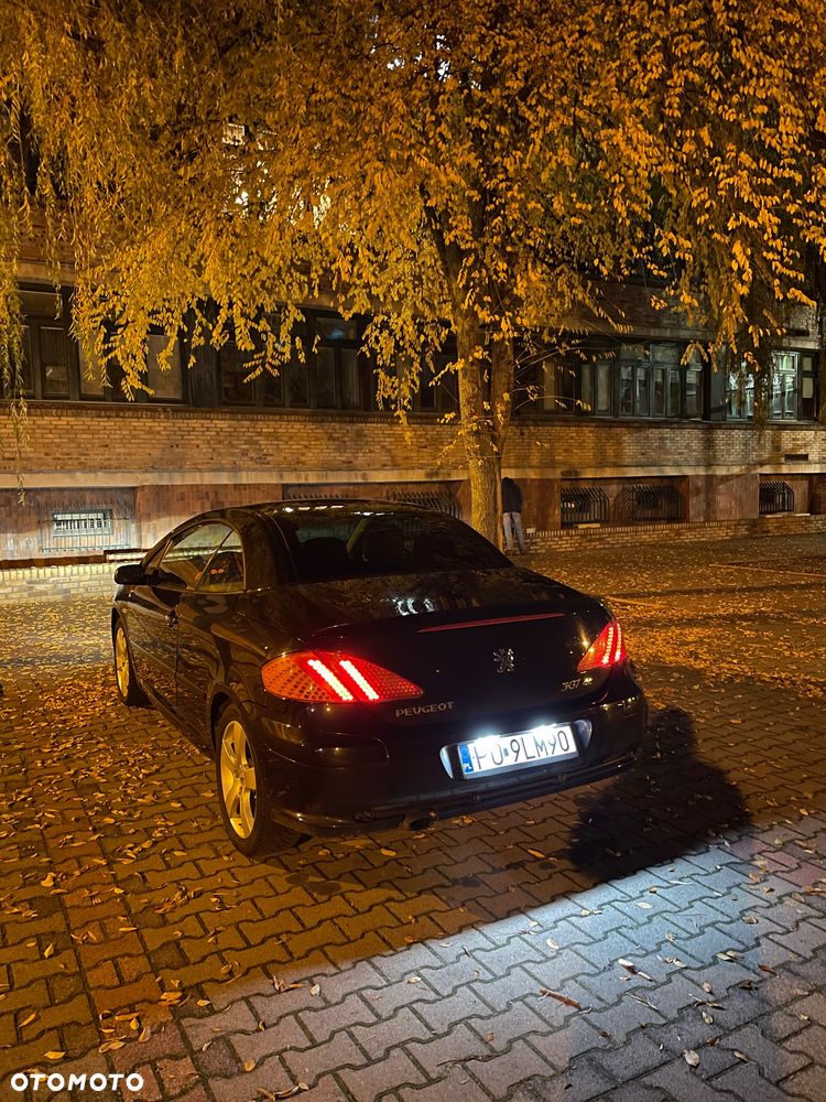 Peugeot 307 CC - 14