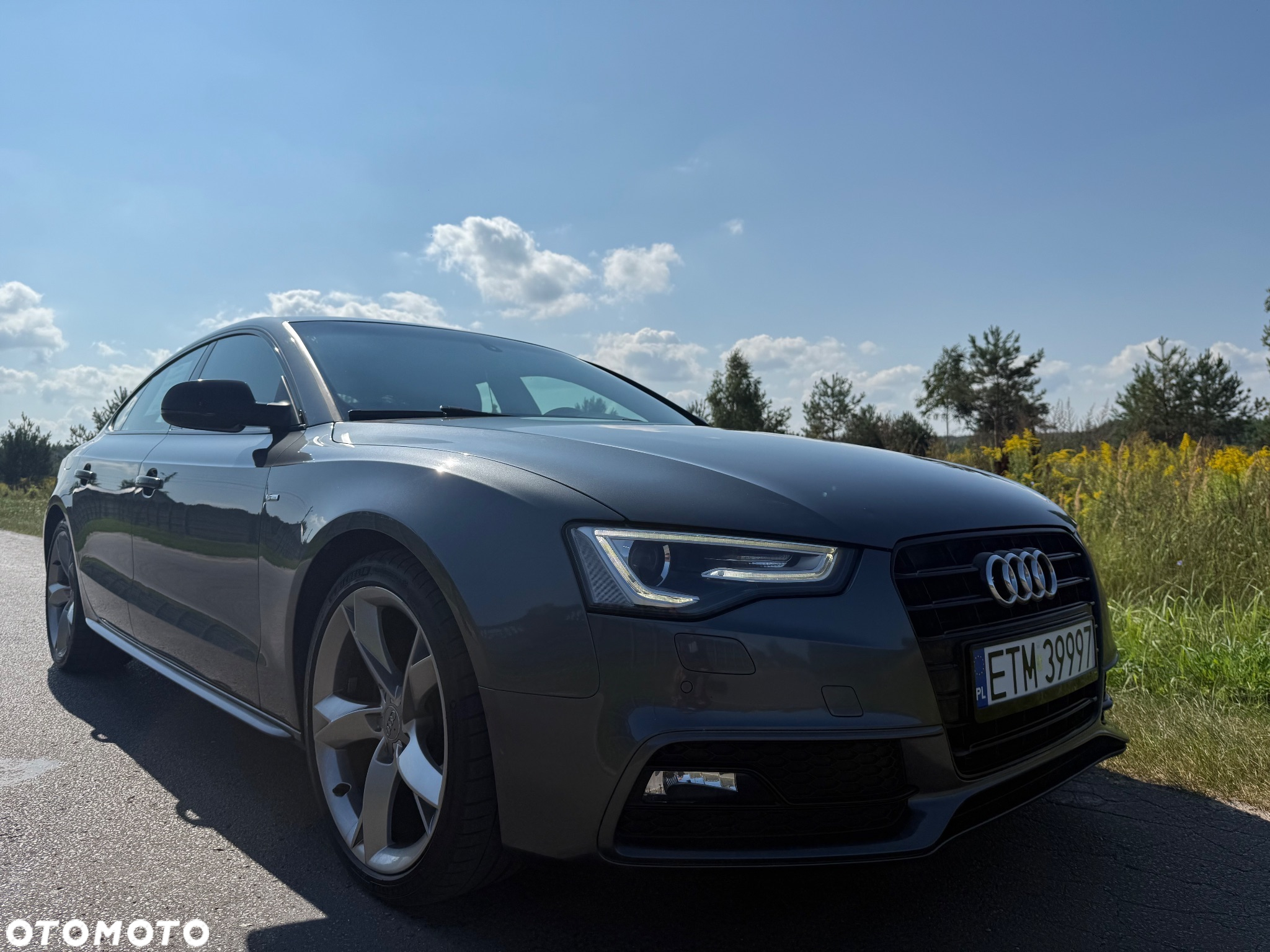 Audi A5 Sportback 2.0 TDI (clean diesel) DPF multitronic - 10