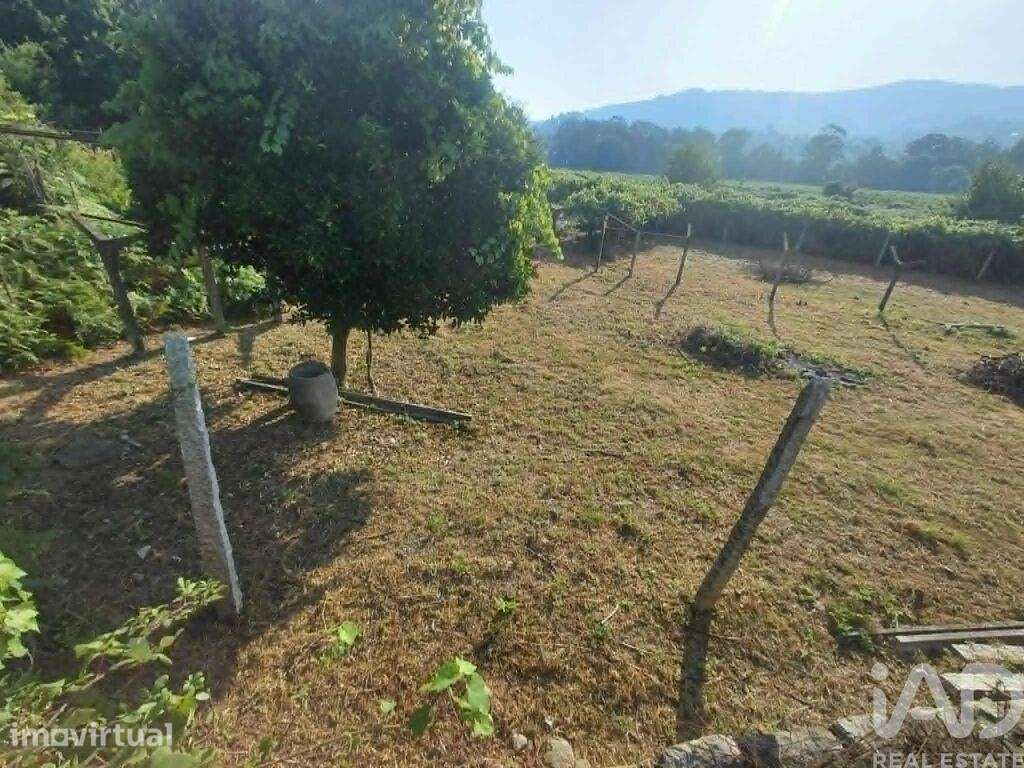 Terreno em Prado e Remoães - Grande imagem: 3/9
