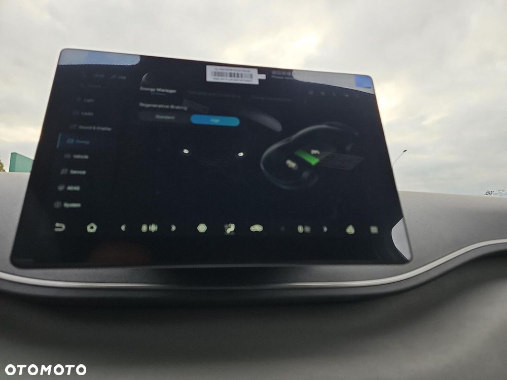 BYD Dolphin Surf - 29