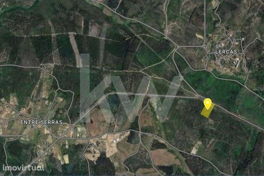 Terreno Rústico  7.760 m2  Abrantes  Mouriscas - Grande imagem: 3/7