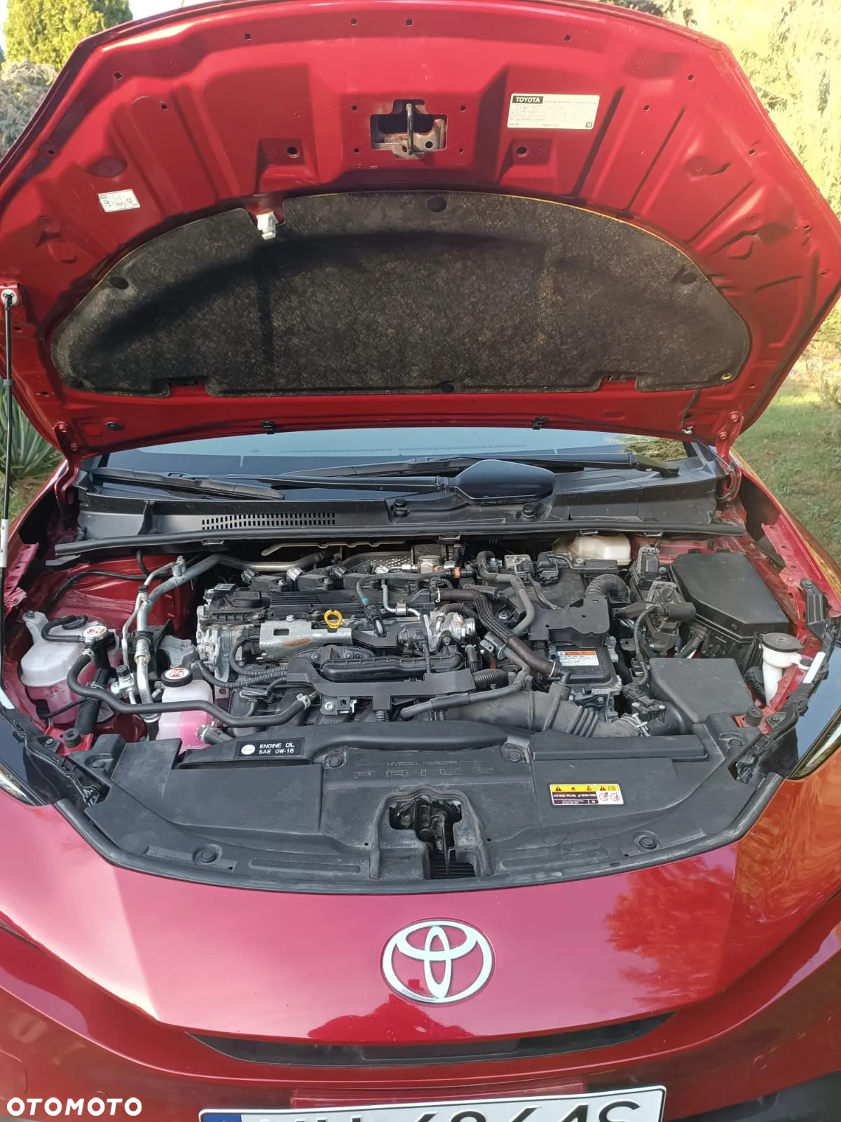 Toyota Prius - 13