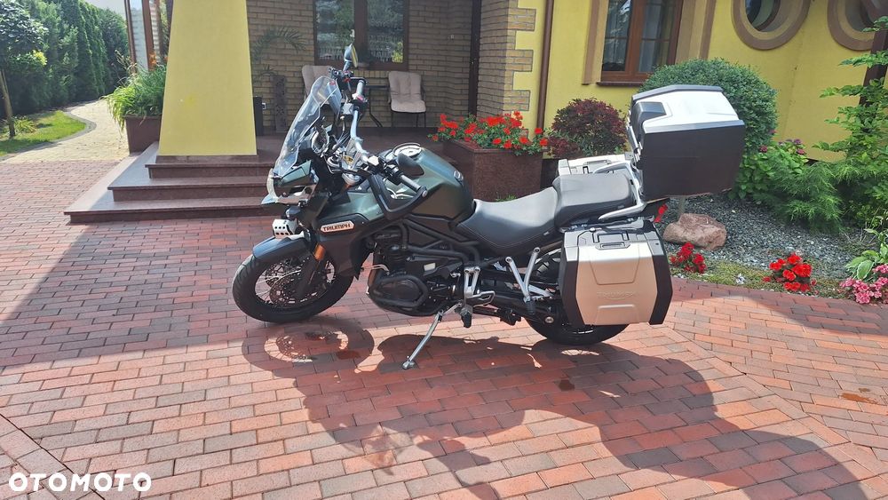 Triumph Tiger - 6