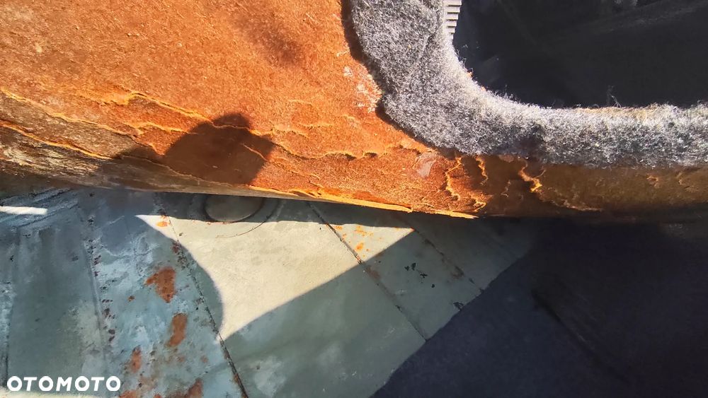 Mercedes-Benz W111 - 33