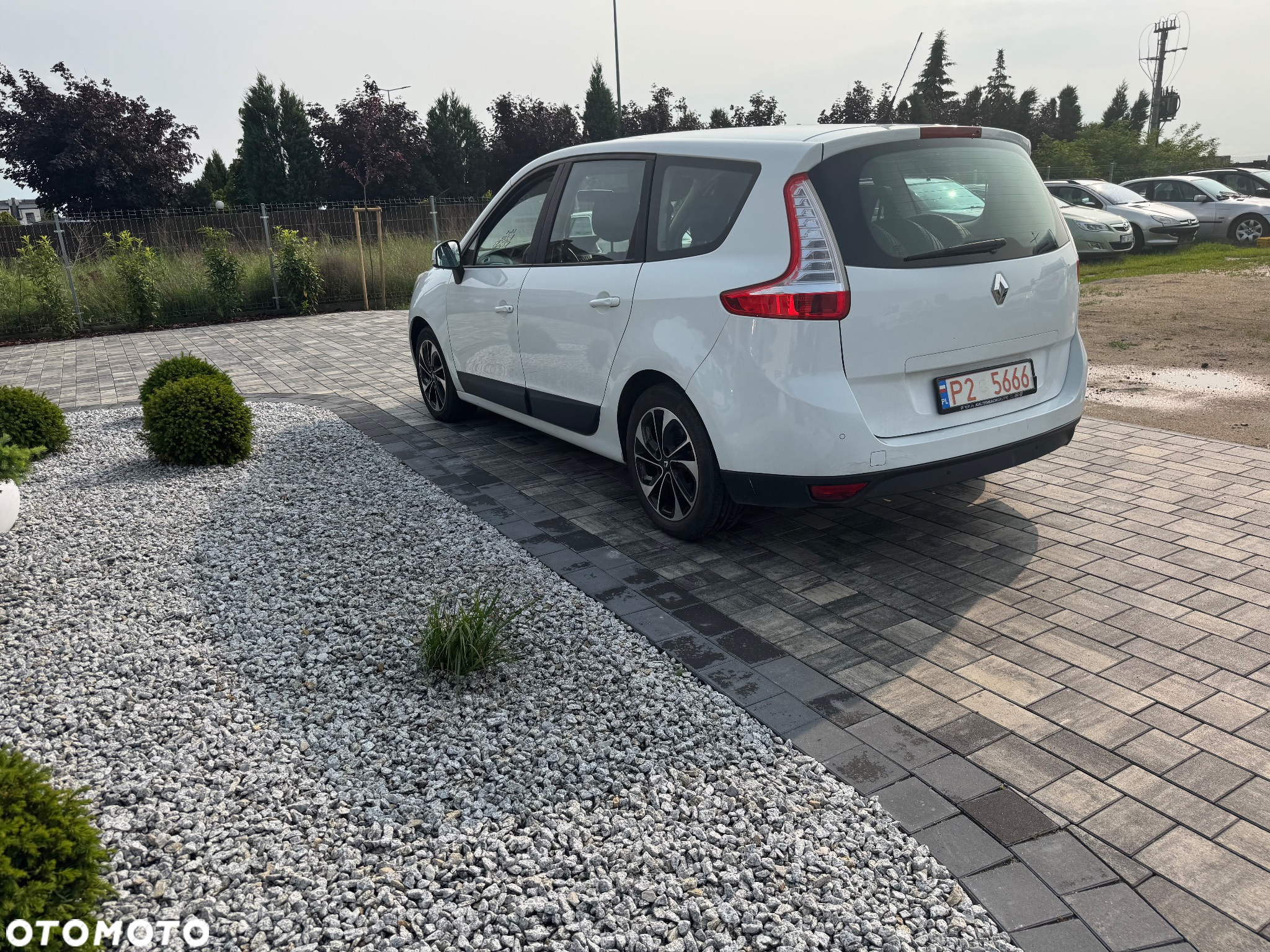 Renault Scenic 1.5 dCi Limited - 13