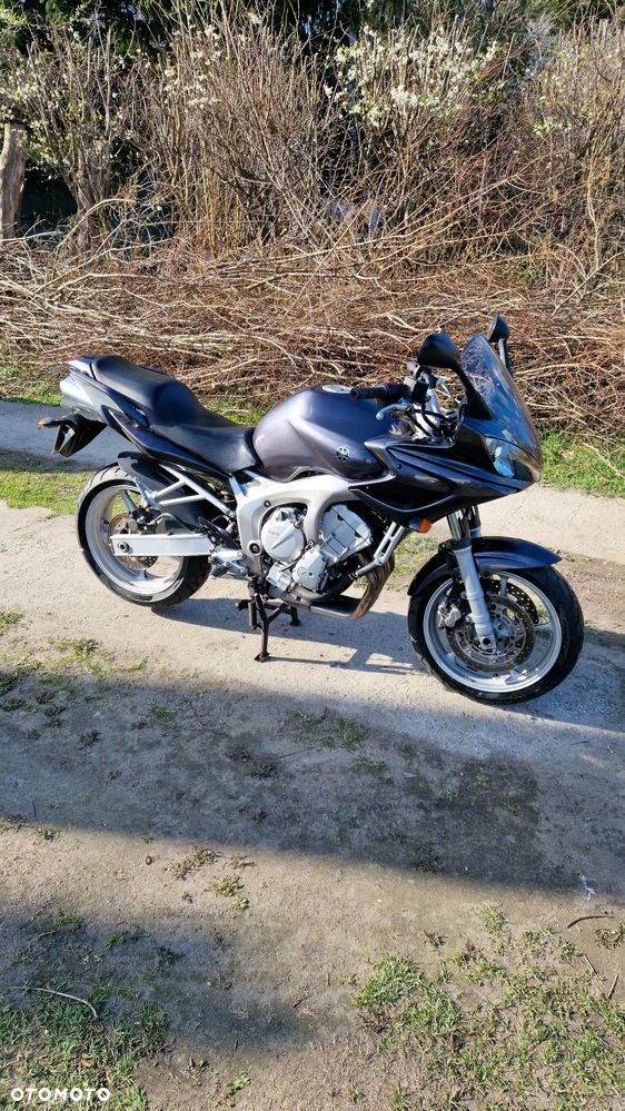 Yamaha FZ6 - 7