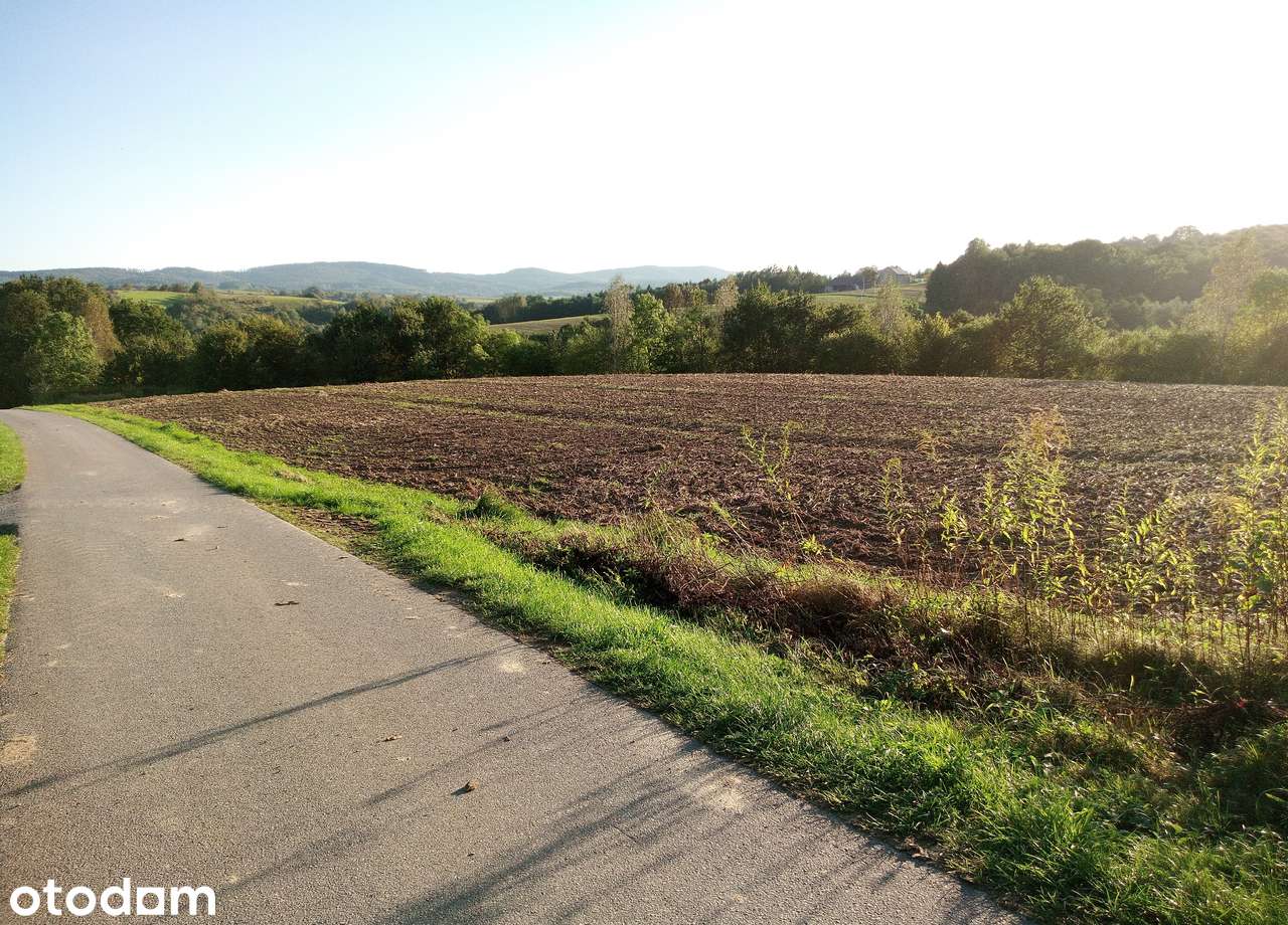Działka 5000 m² w malowniczej okolicy - Pełny obrazek: 3/3