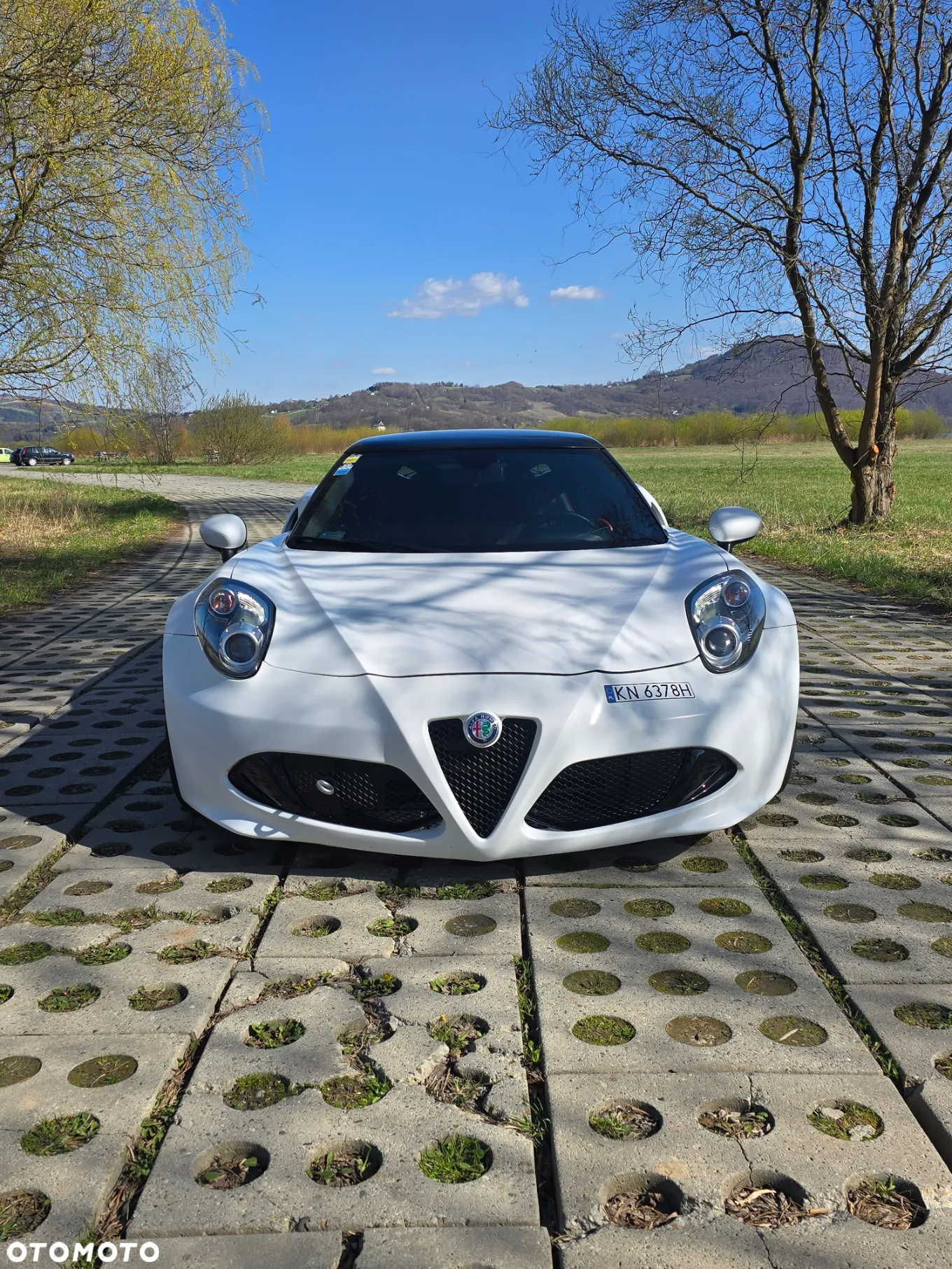 Alfa Romeo 4C 1750 TBi TCT - 4