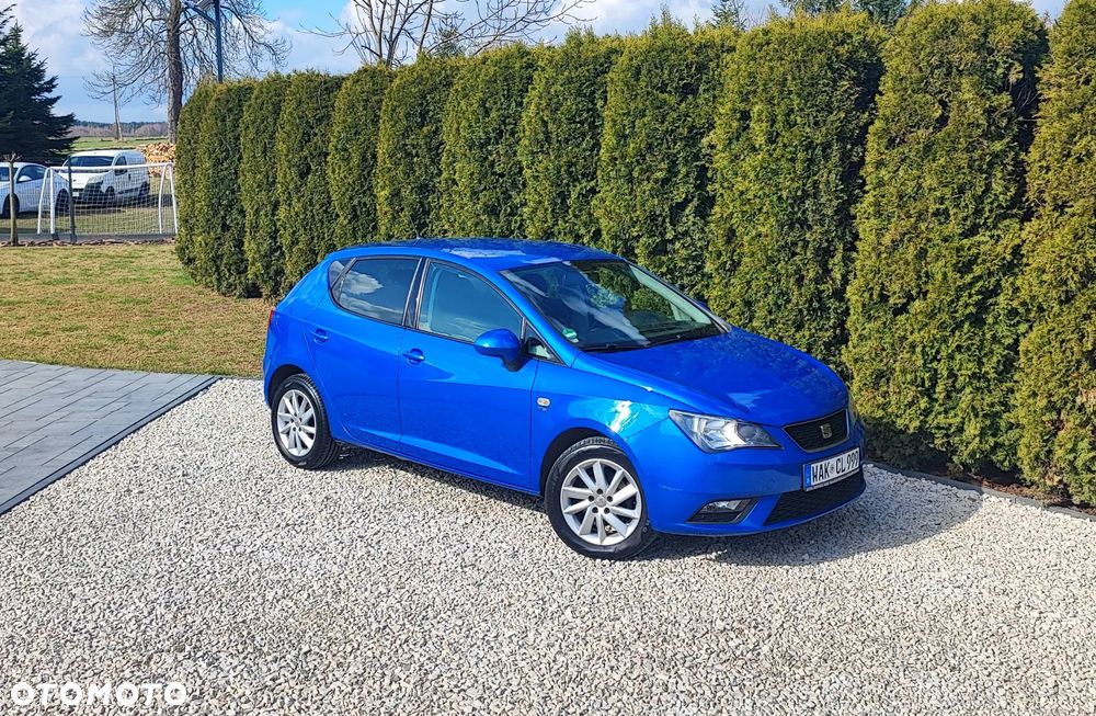 Seat Ibiza - 1