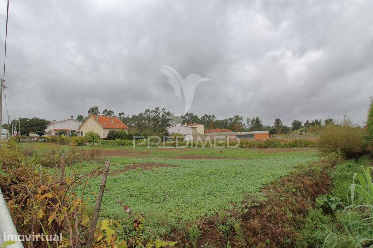 Terreno com 36 metros de frente para construção de moradia e Oiã - Grande imagem: 2/10