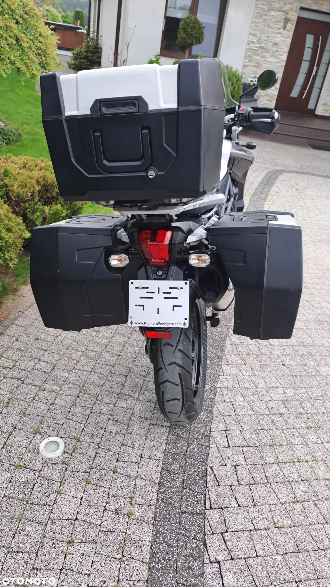 Triumph Tiger - 21