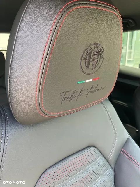 Alfa Romeo Stelvio 2.0 Turbo Tributo Italiano Q4 - 20
