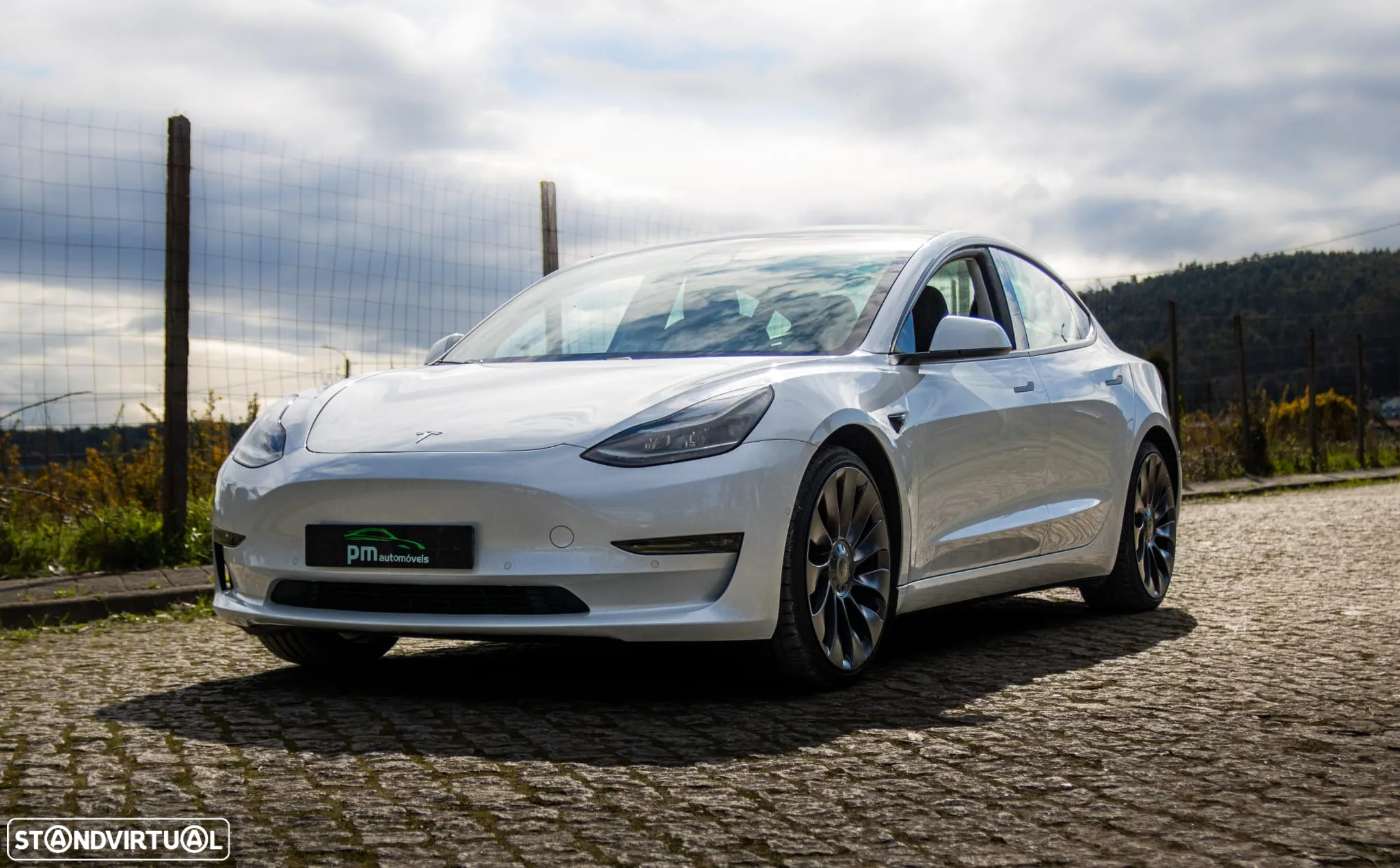 Tesla Model 3 Long Range AWD Dual Motor Performance - 3