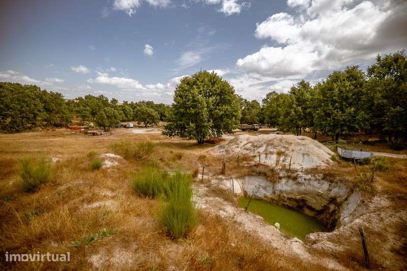 Quinta 27.000m² com Poço, Charca e Potencial de Construção - Sabugal - Grande imagem: 3/12