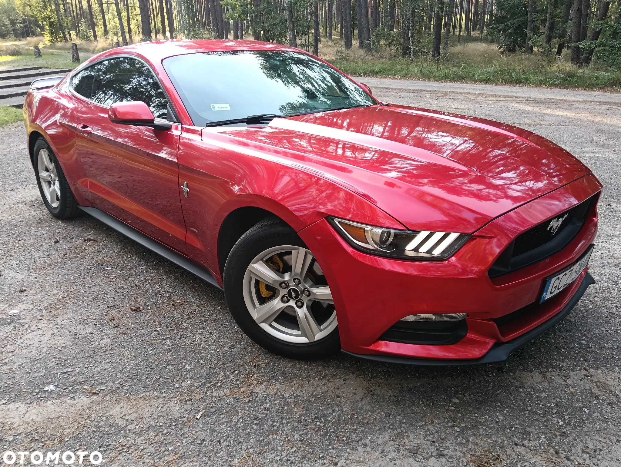 Ford Mustang - 3