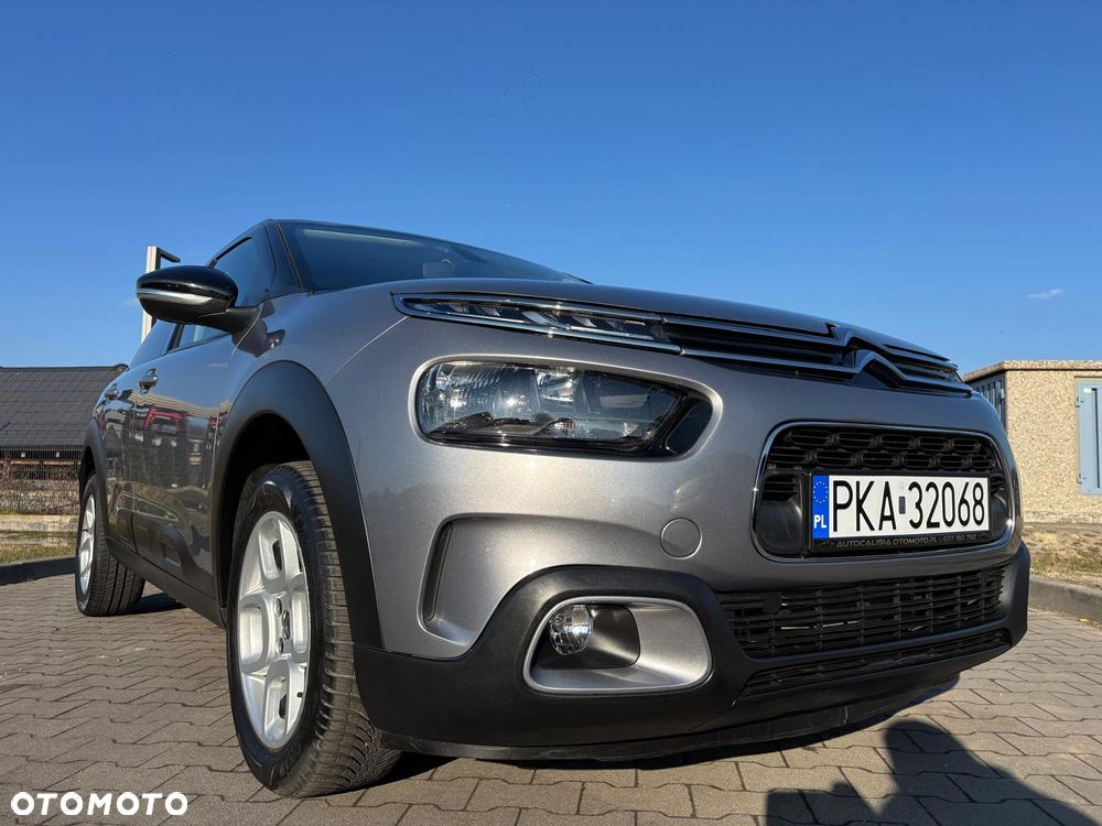 Citroën C4 Cactus 1.5 BlueHDi Shine Pack - 10
