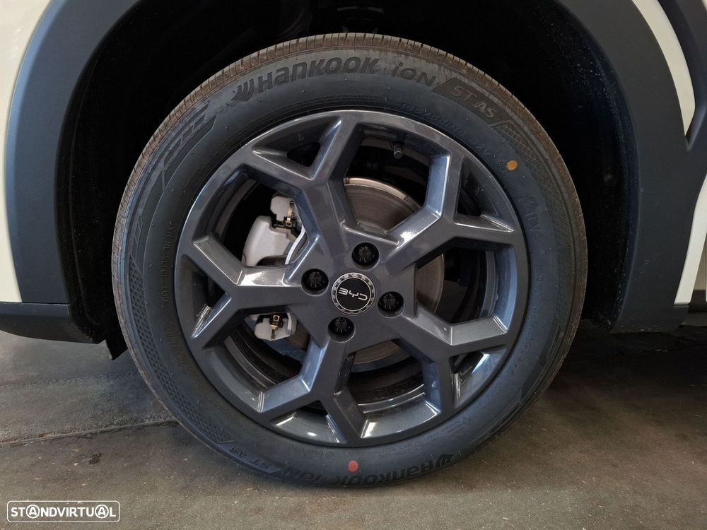 BYD Dolphin Surf 43.2 kWh Boost - 25