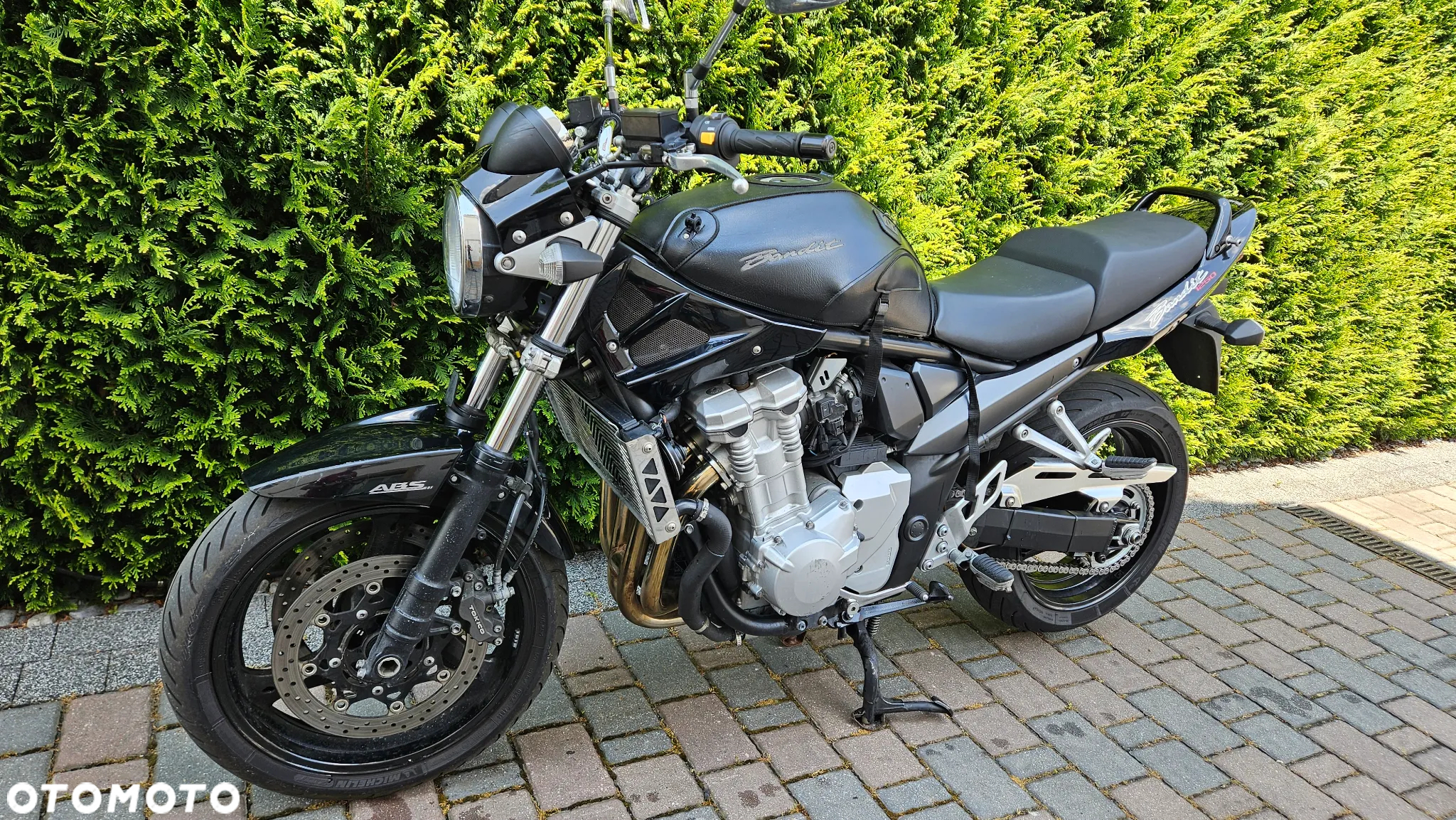 Suzuki Bandit - 8