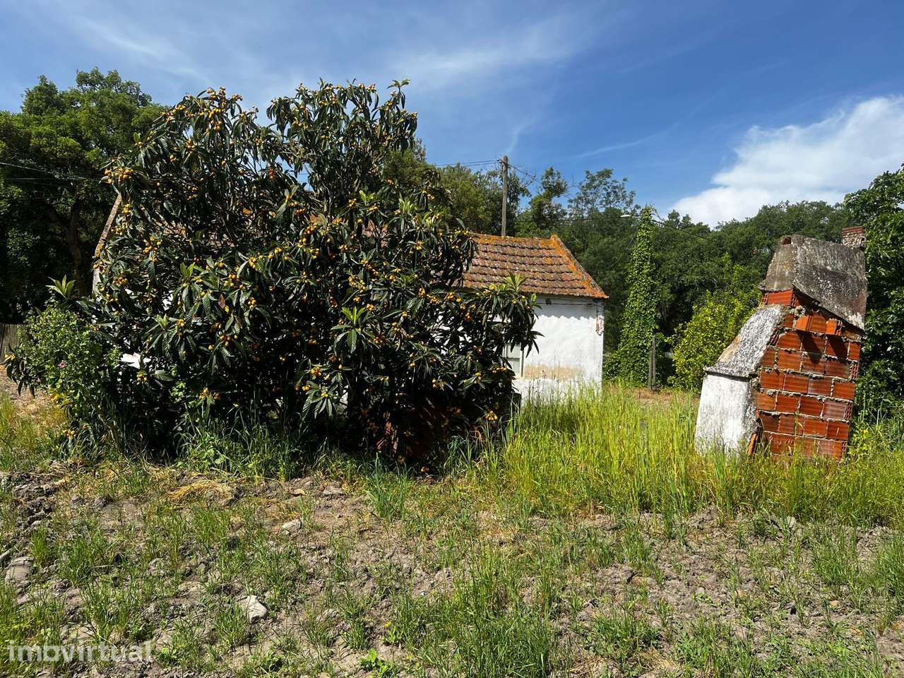 Terreno com 5000m2, com casa para restaurar - Granho Novo Marinhais... - Grande imagem: 5/8