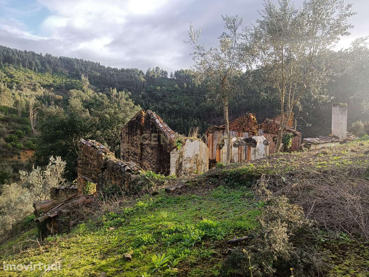 Casa para Recuperar em Vila de Rei, Castelo Branco - Grande imagem: 4/26