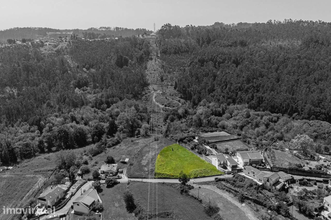 Oportunidade Única: Propriedade com 3.800 m2 em Santiago de Riba-Ul - Grande imagem: 2/14
